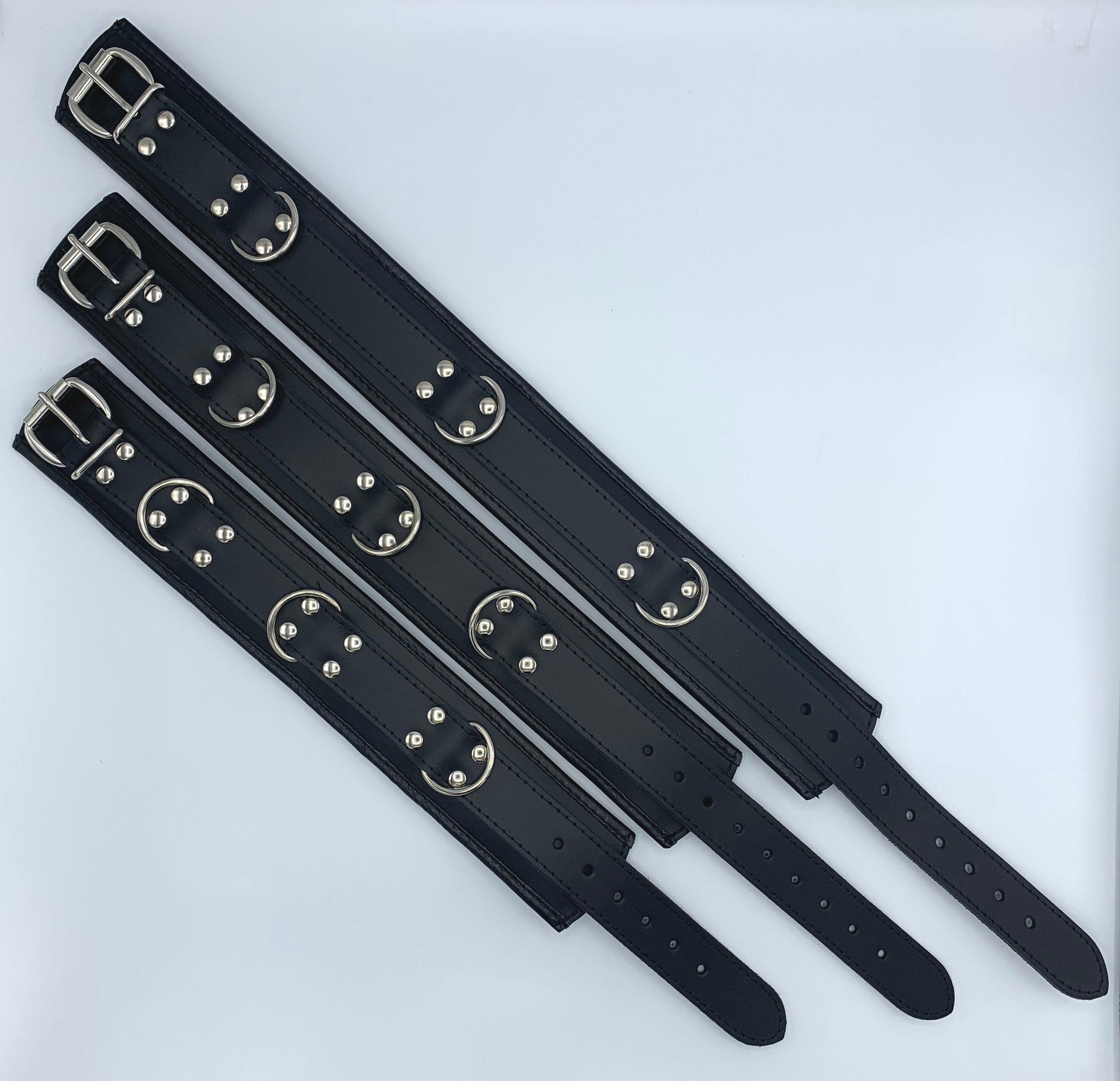 padded collar with 3-D Rings