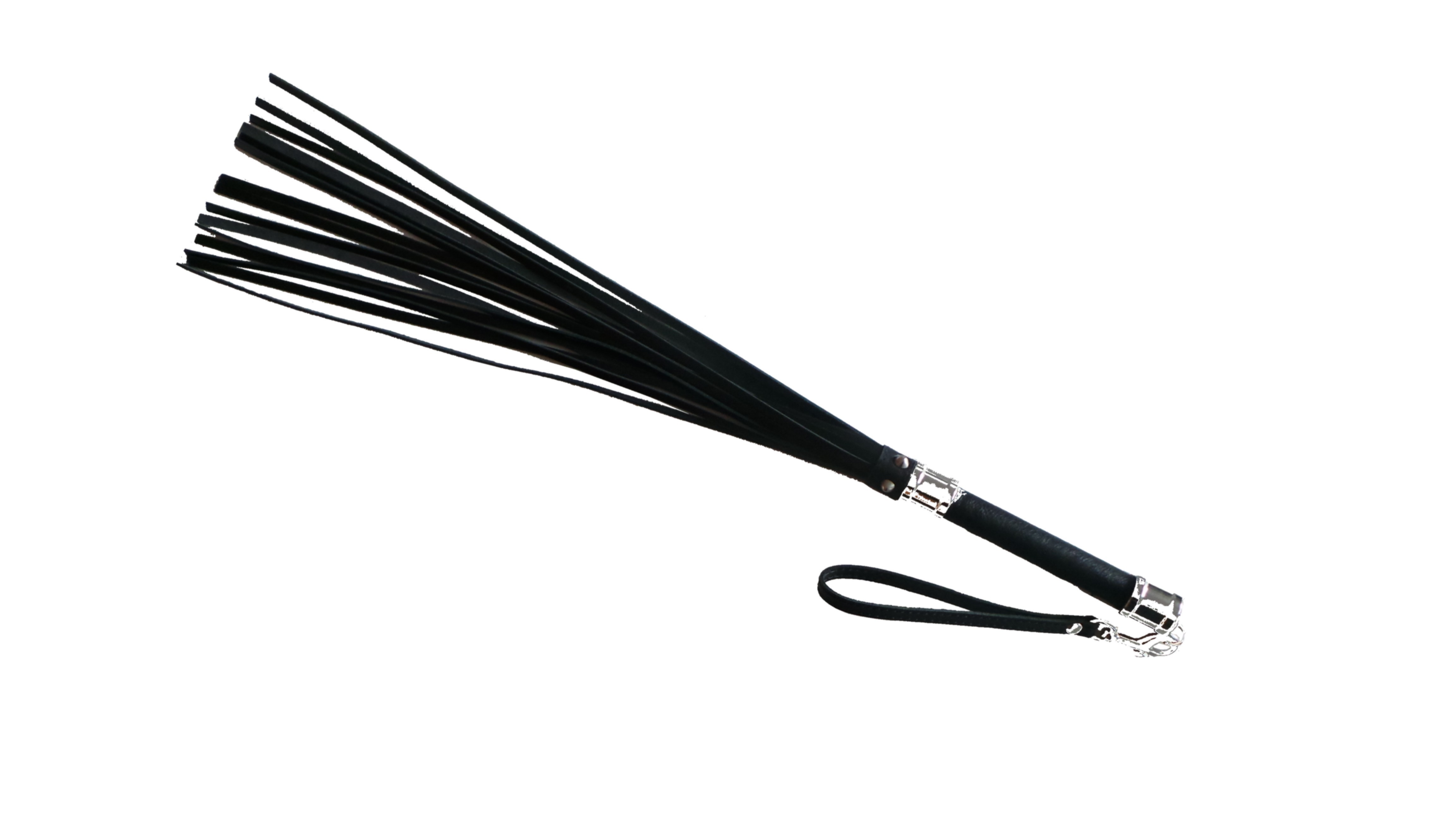 Whip with metal accessories