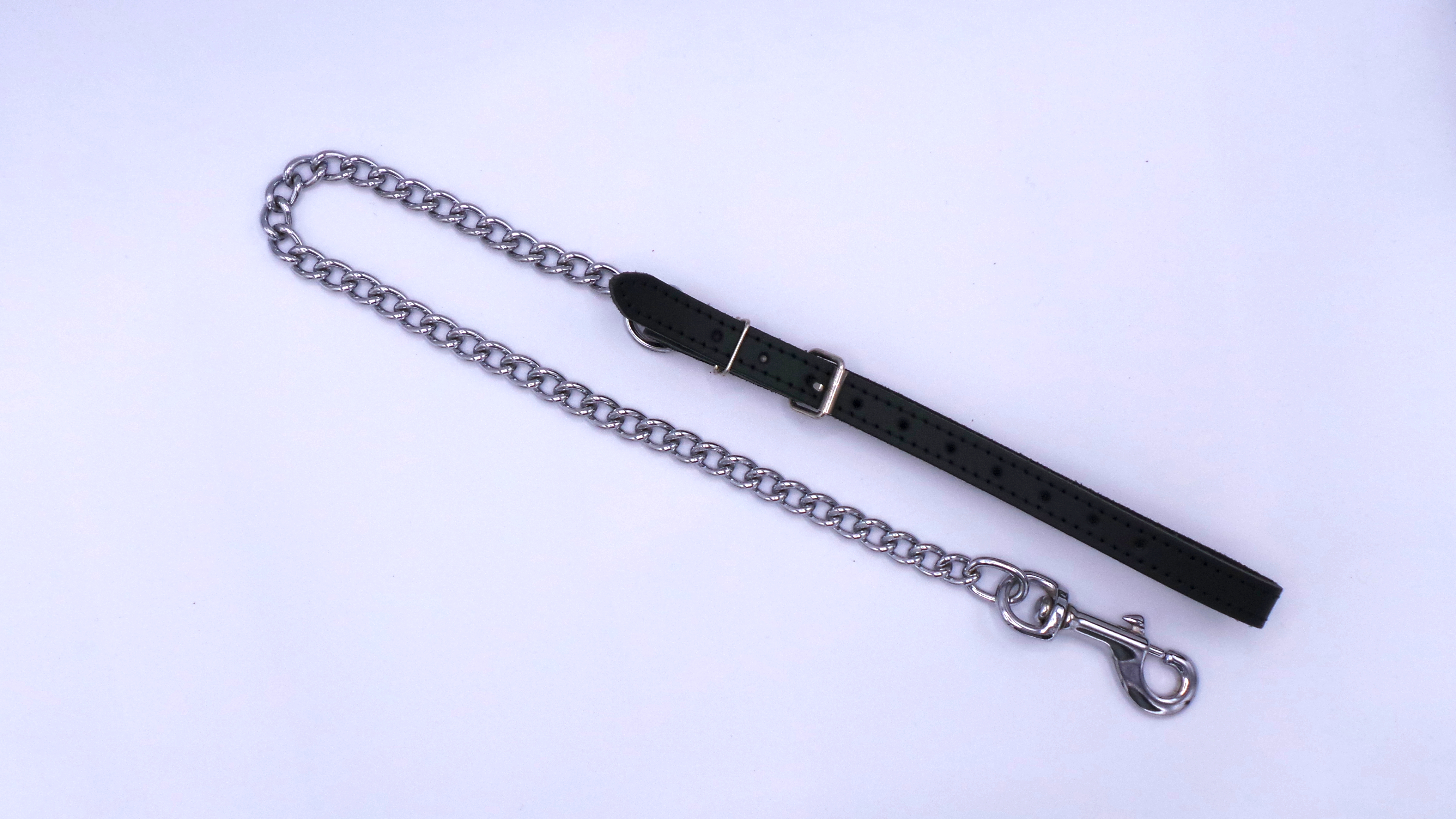 Guide leash with hand loop for opening