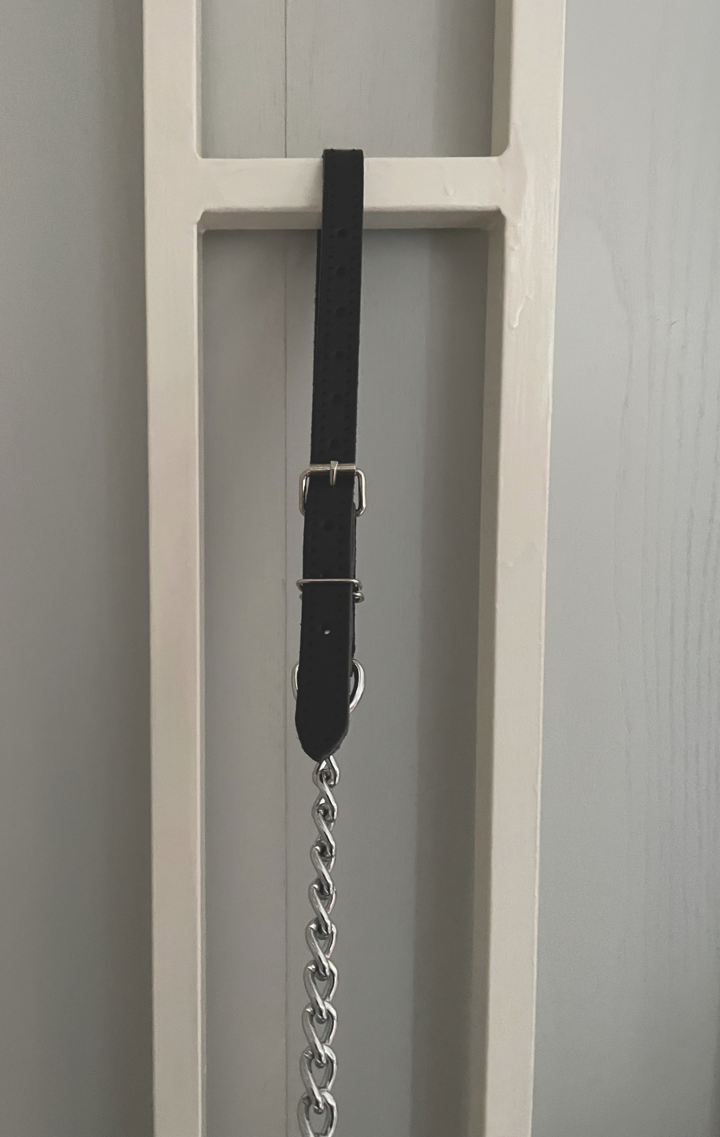 Guide leash with hand loop for opening
