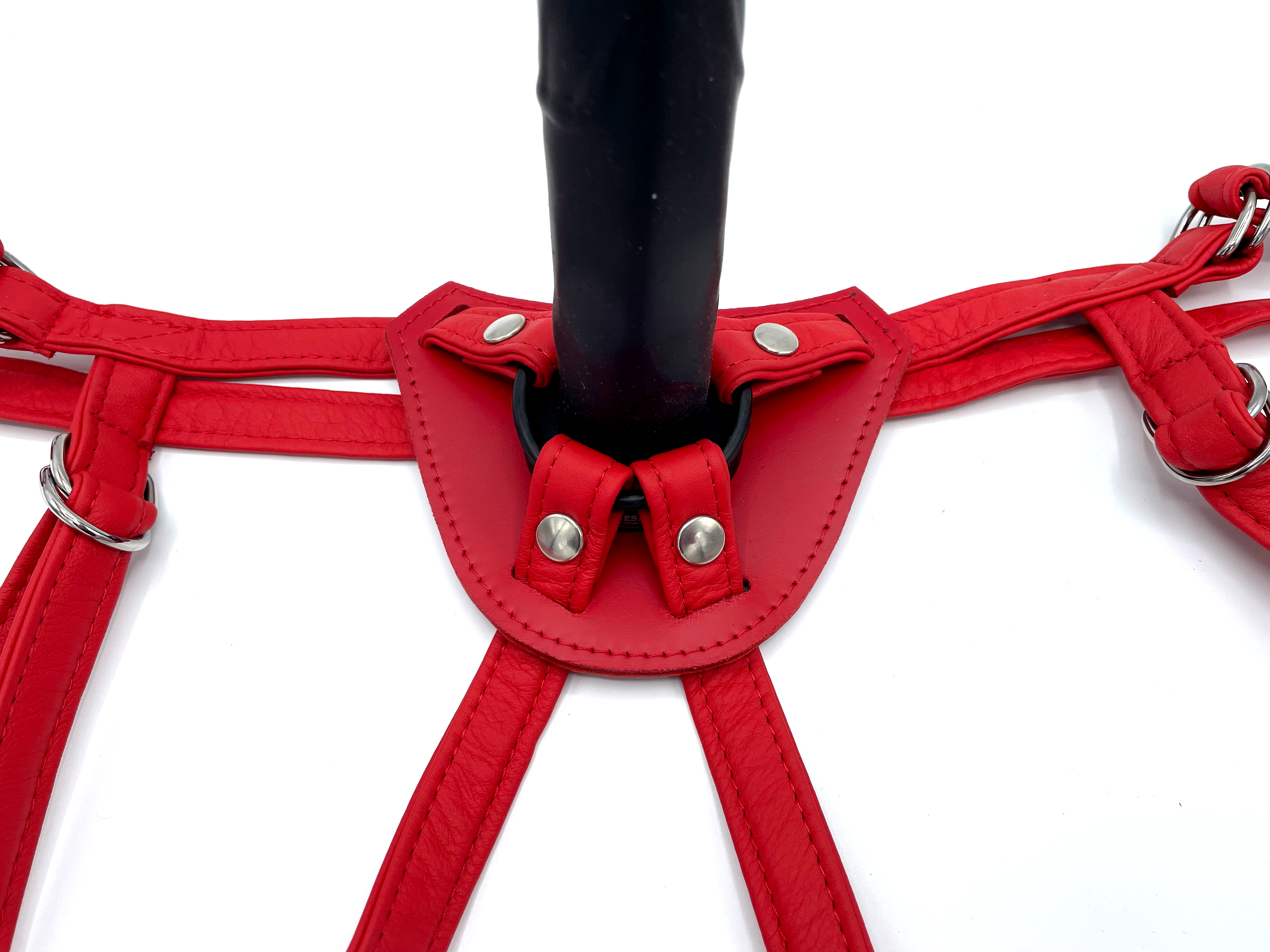 Dildo harness strap on red