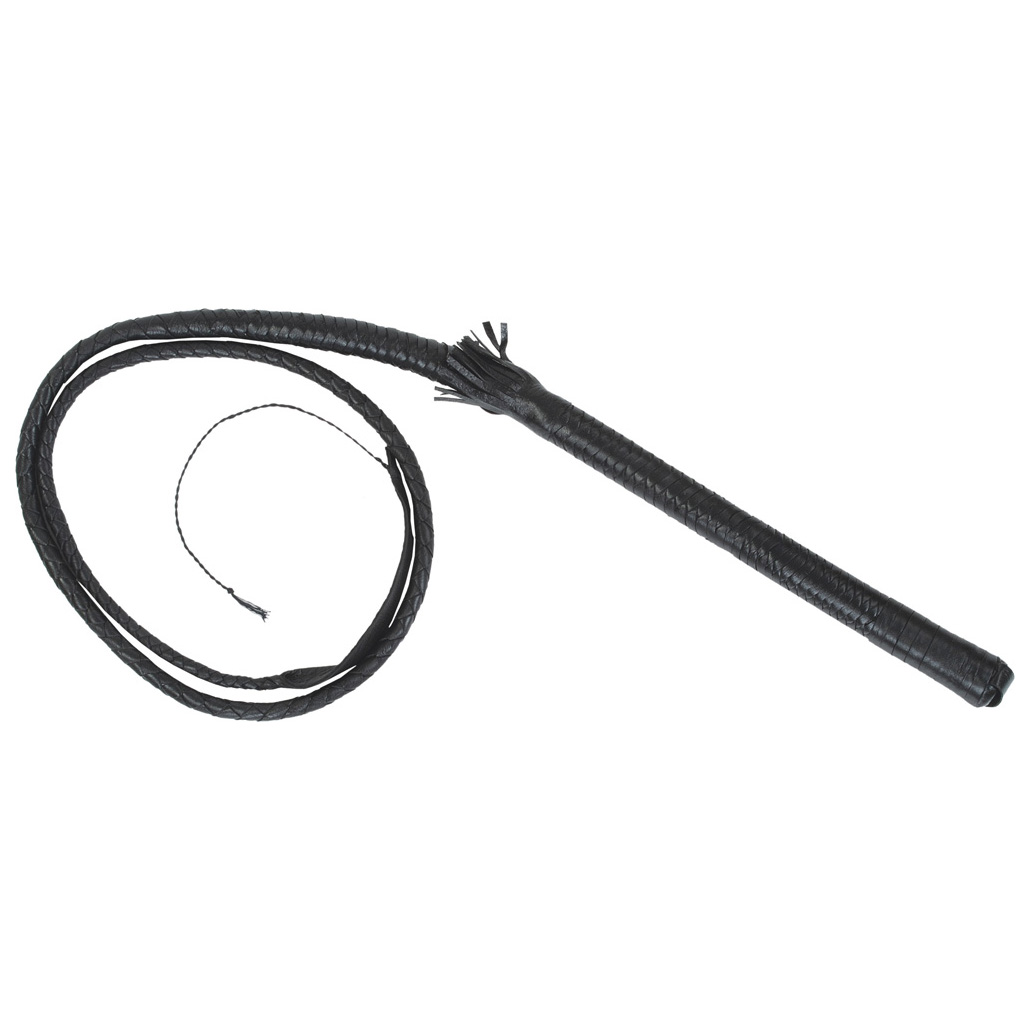 Bullwhip