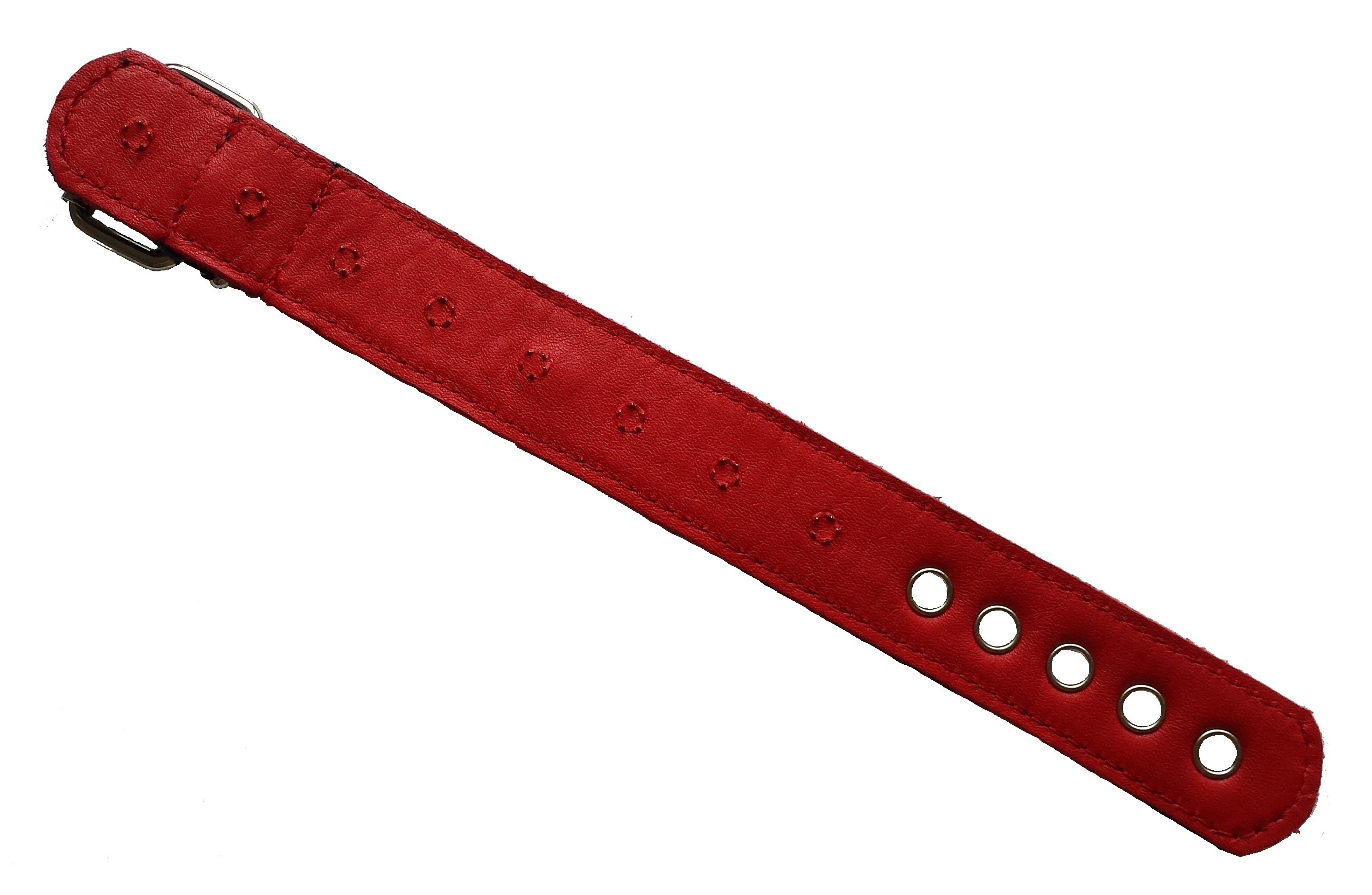 Testicular band with inner thornes