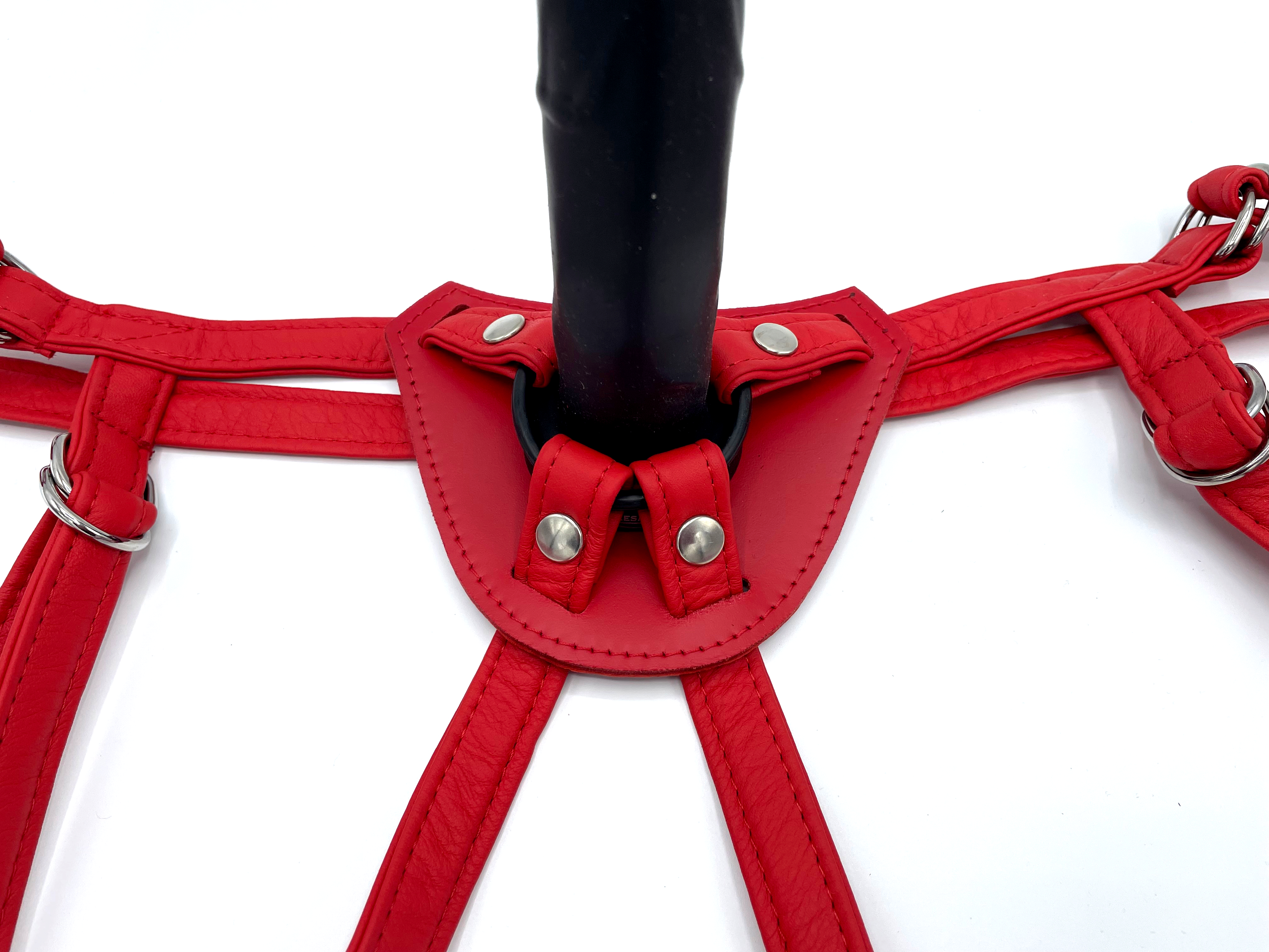 Dildo harness strap on red, shell padded inside