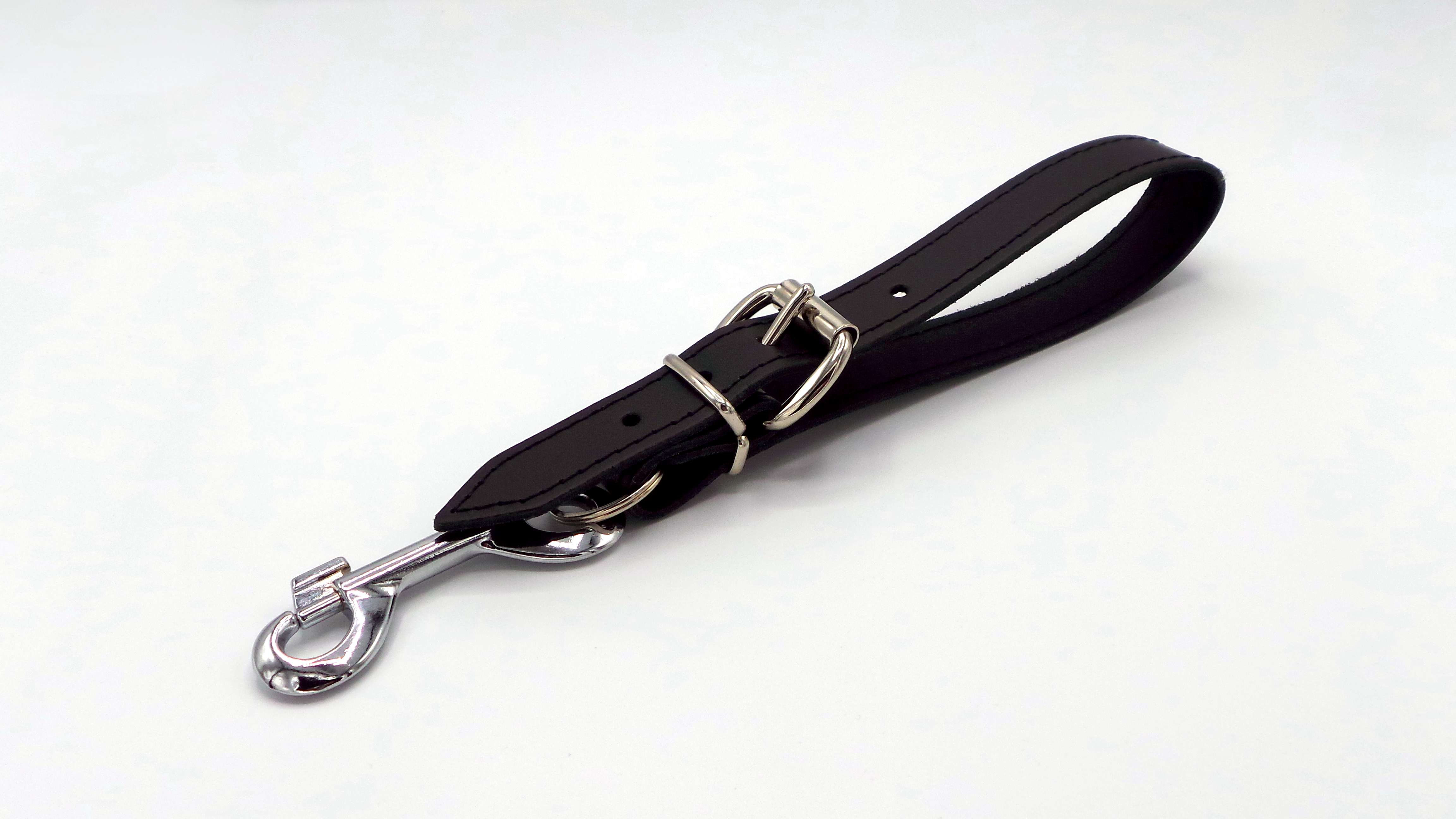 Guide loop with ring and snap hook