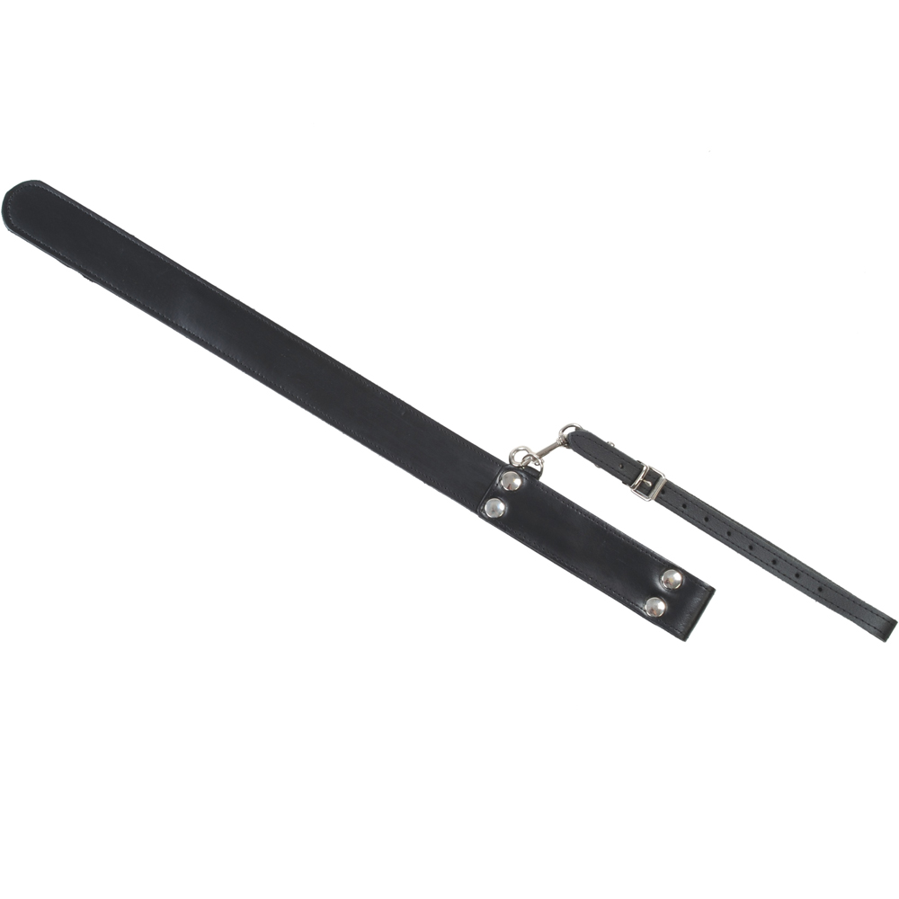 Chastising strap with spring steel insert