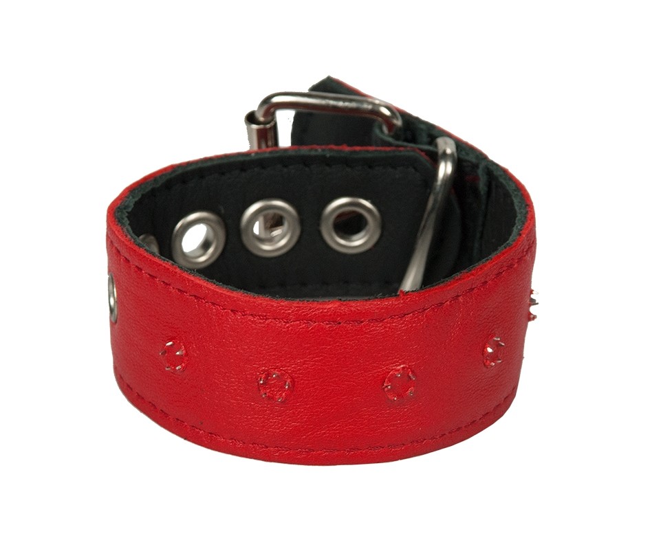 Testicular band with inner thornes