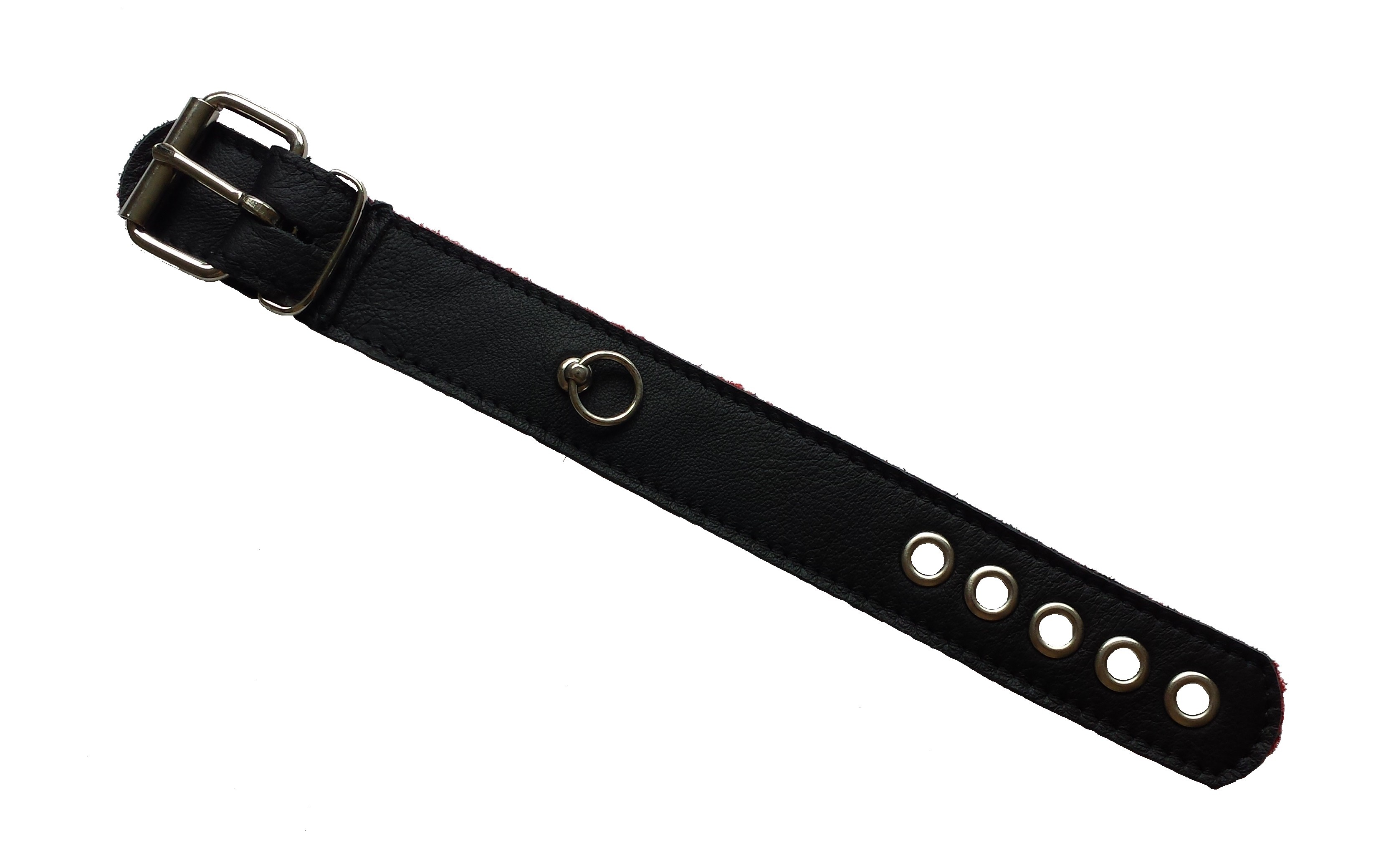 Testicular band with inner thornes