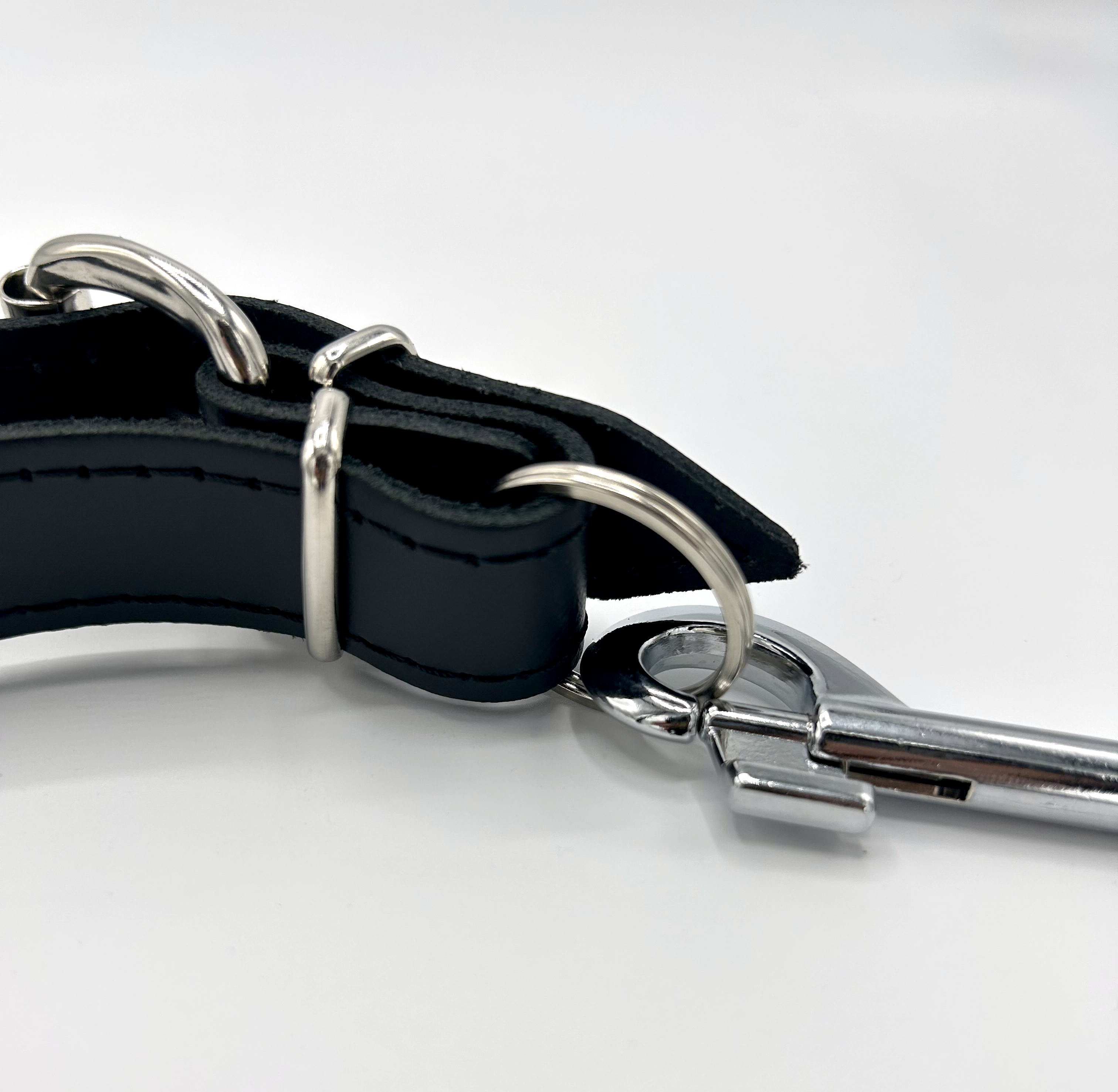 Guide loop with ring and snap hook