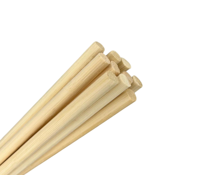 Canes for BDSM from PM Body Leather