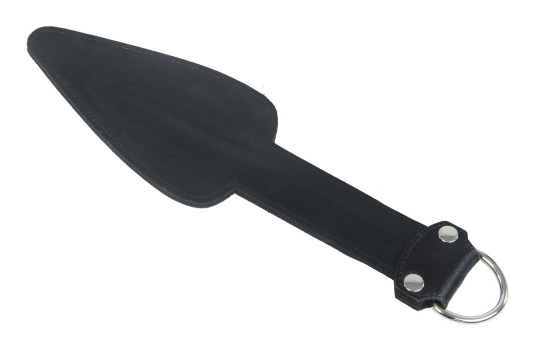 Paddle with spring steel insert