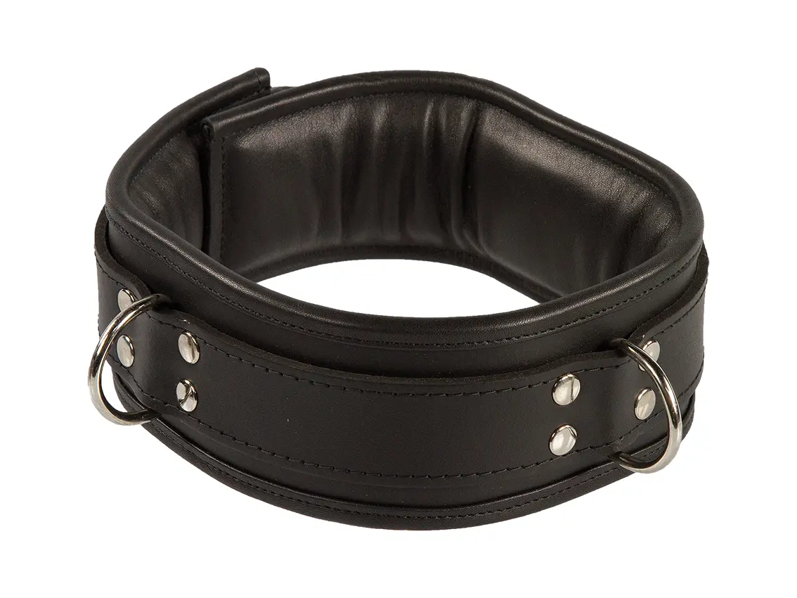 padded collar with 3-D Rings