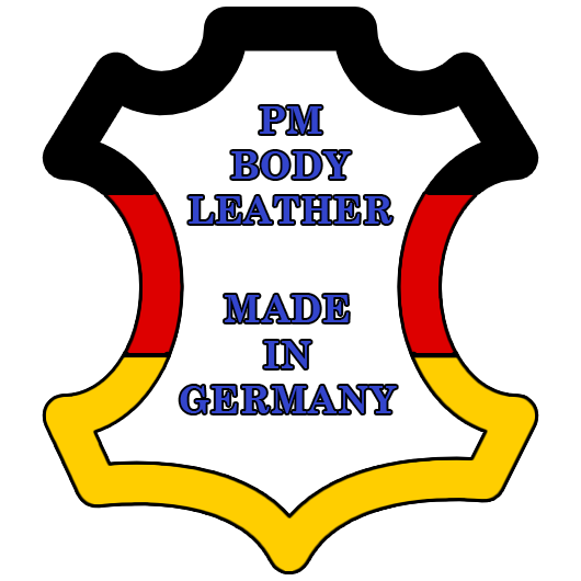 men's briefs