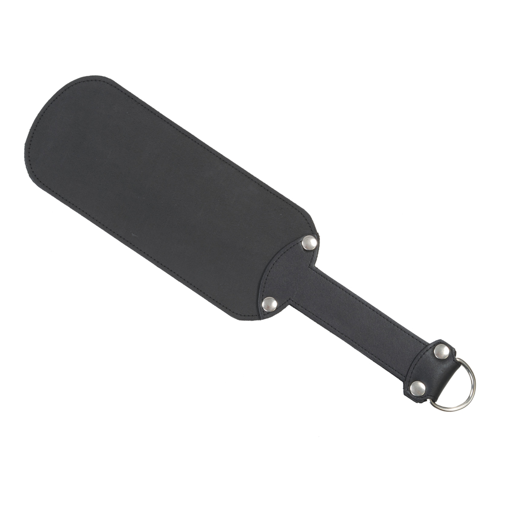 Paddle with spring steel insert