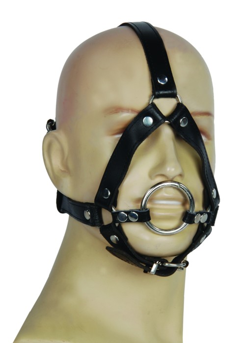 Head harness with metal ring
