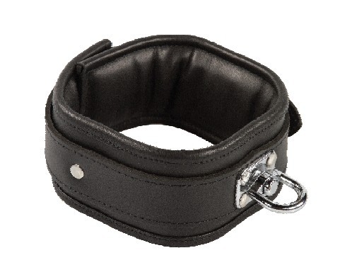 Padded collar with swivel